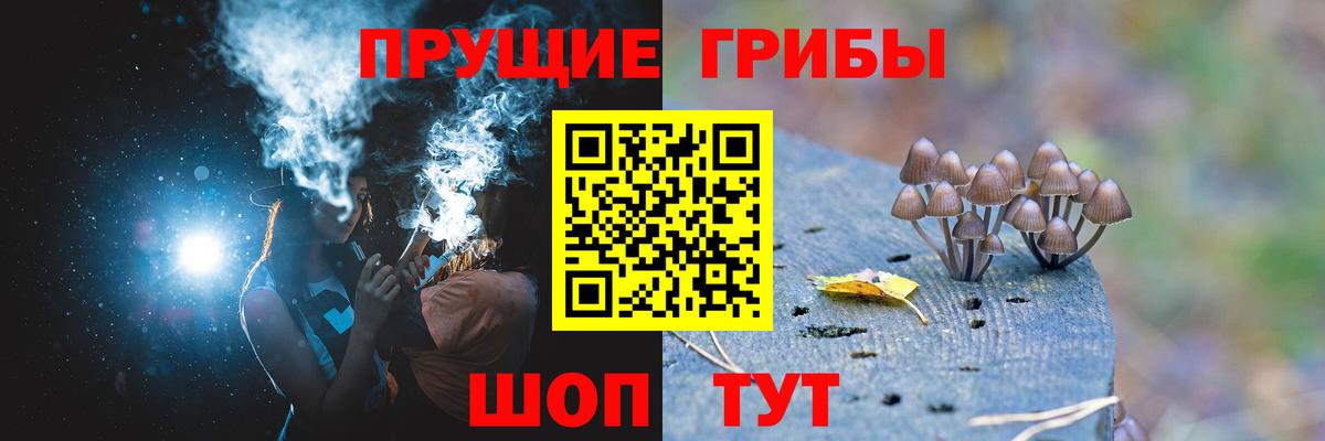 Карачаевск  Псилоцибиновые грибы ЛСД  Галлюциногенные грибы Psilocybine cubensis  Вход с VPN 